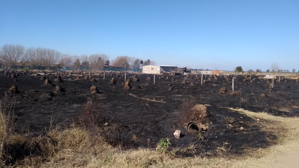 Incendio forestal puso en peligro tres viviendas: trabajaron tres dotaciones 